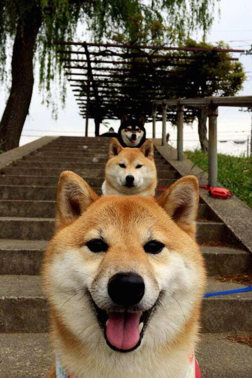 爱游戏在线-联合杯力克温网热度，鲁德刷新连胜纪录引热议