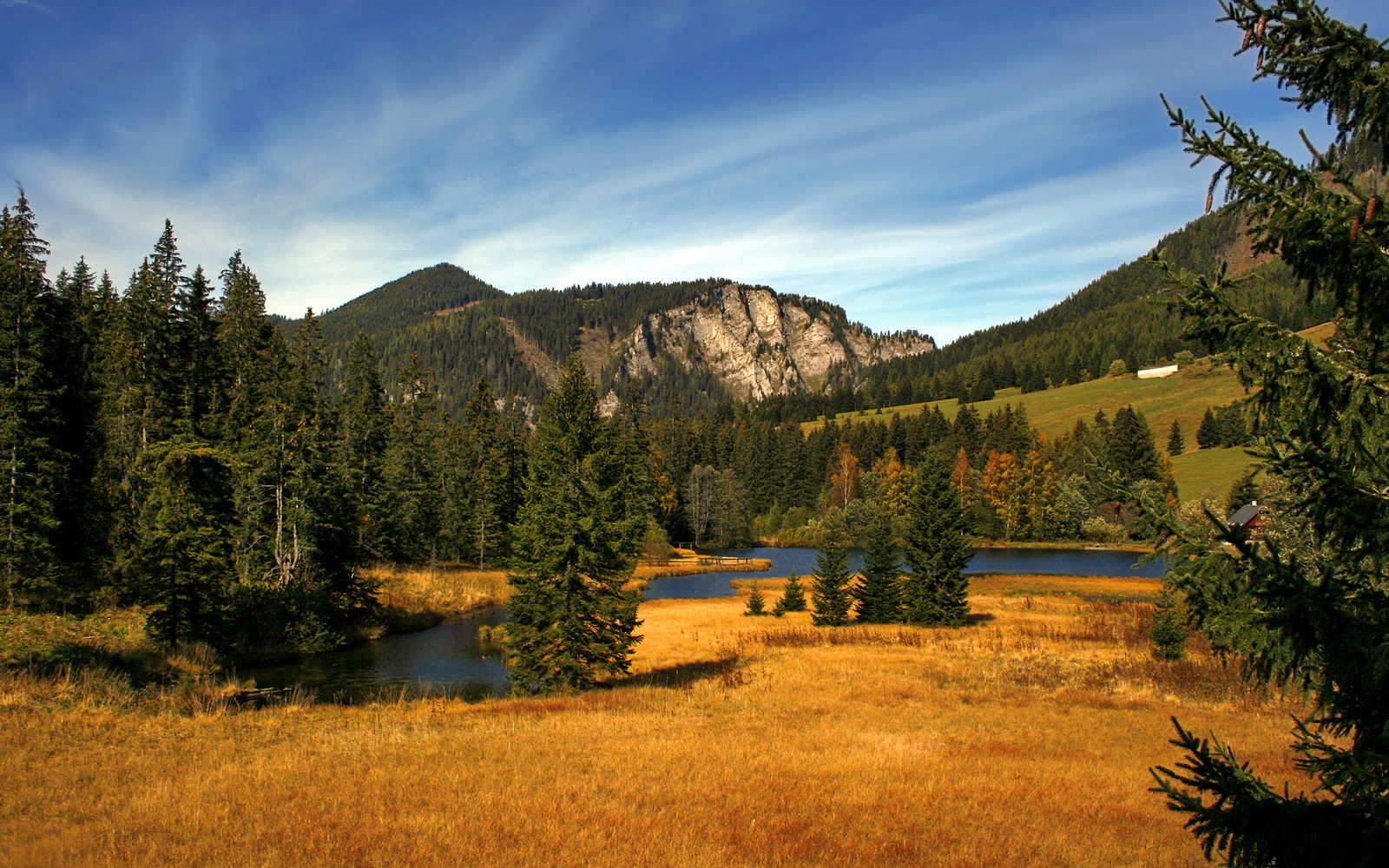 胜利者与输家,当索伯铁骑踏碎银箭王朝,汉密尔顿的孤影为何照亮了围场?