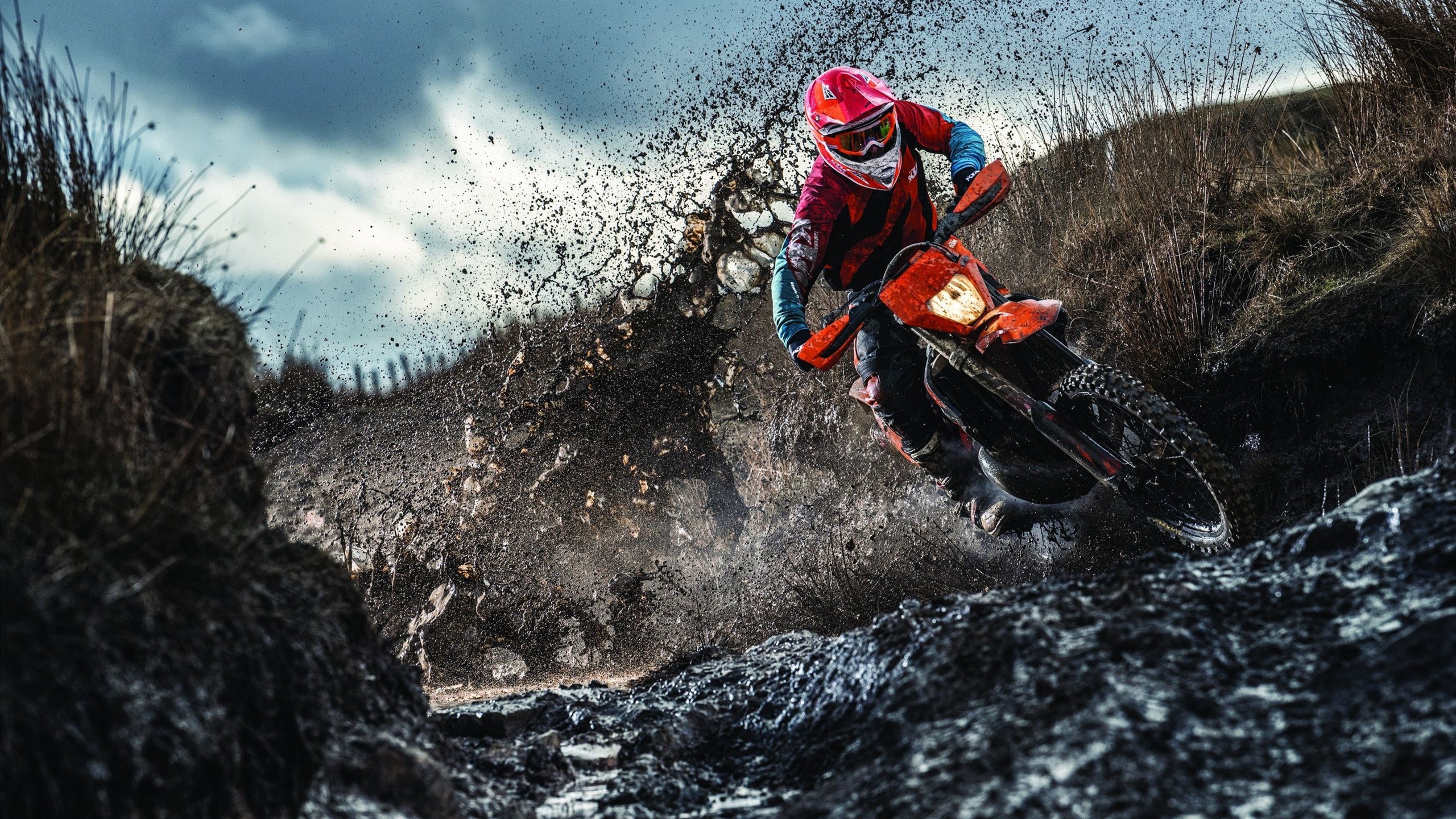 爱游戏下载-红牛绝地反击！诺里斯统治全场却痛失王座