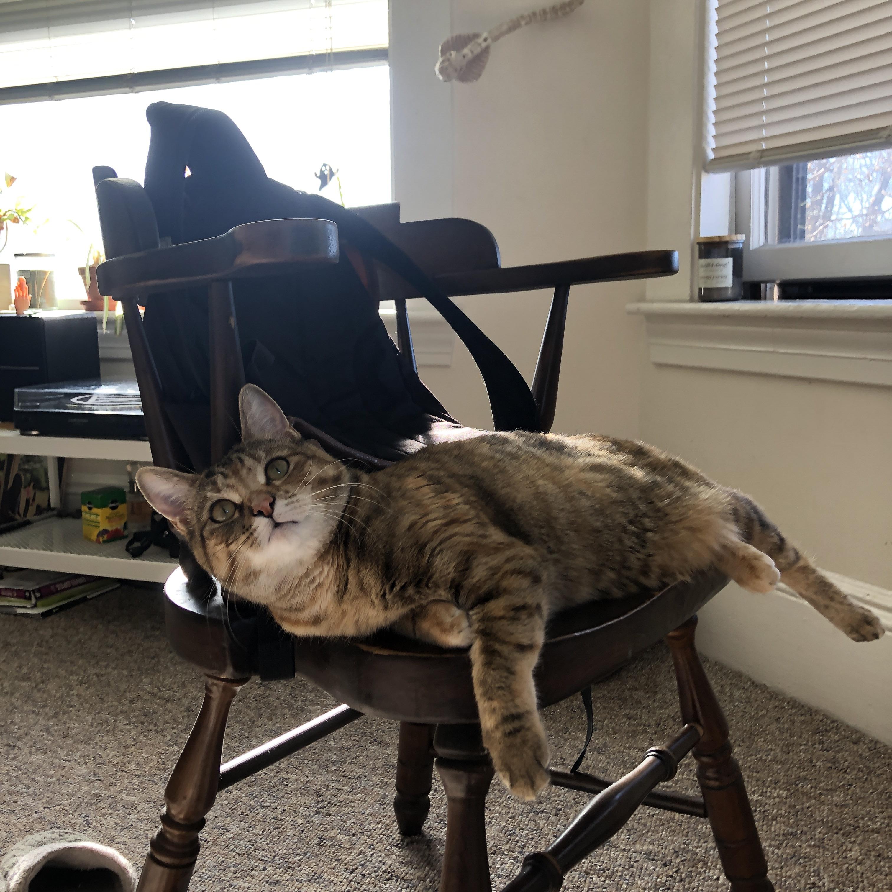 爱游戏官网-冰与火之歌，印尼绝境逆转背后，是安赛龙无情的统治序曲