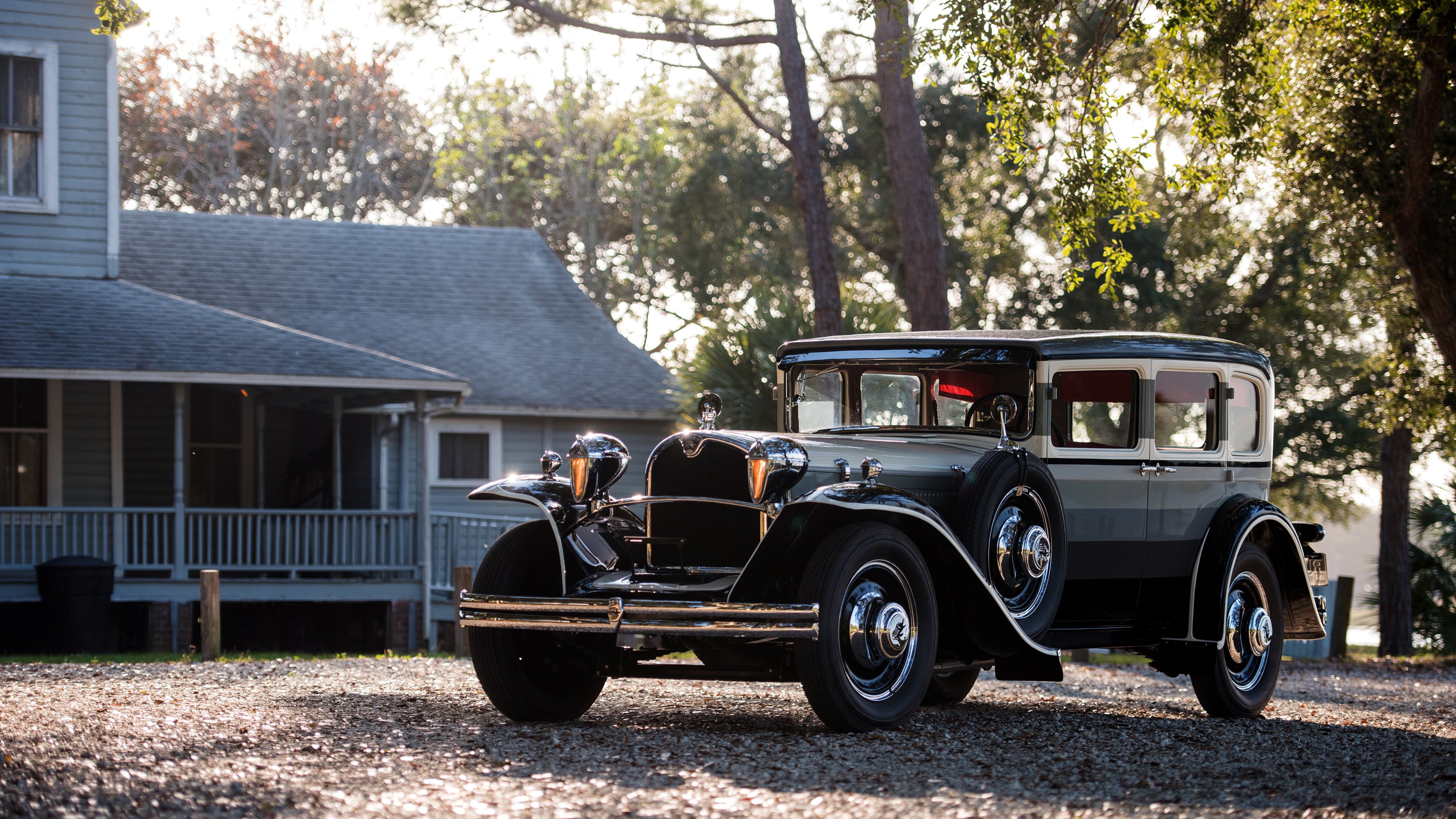 爱游戏体育-暴雨与烈日之间，进化与复苏的统治力