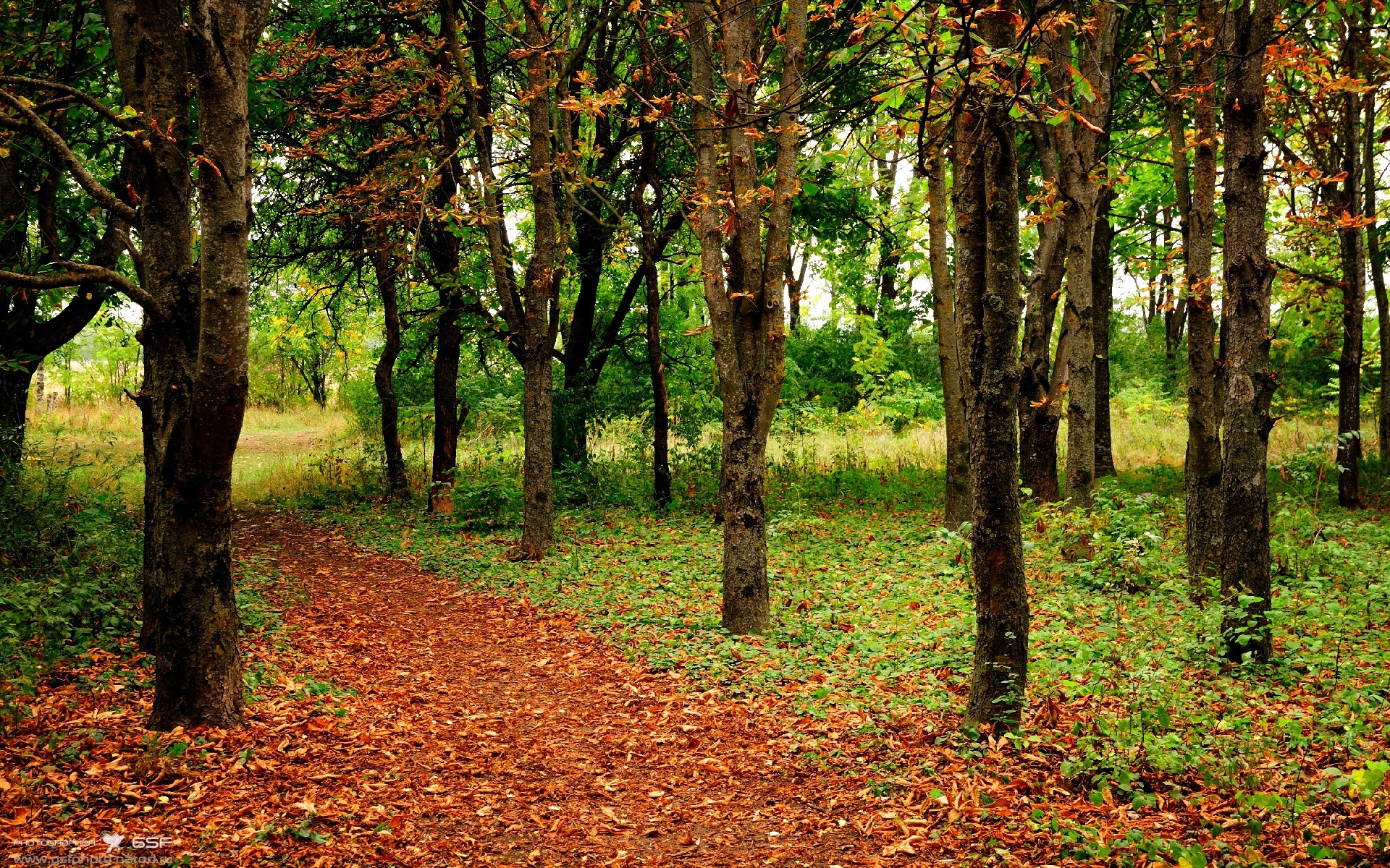红灯熄灭，利拉德，人生唯一要超越的，是上一秒的自己