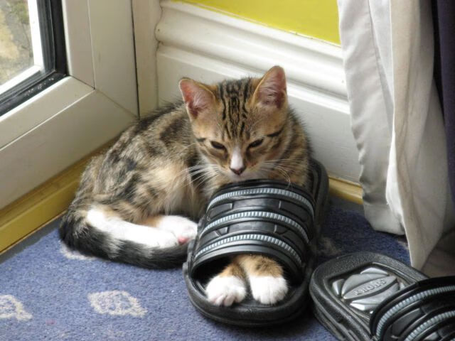 毕尔巴鄂签约小字母哥—梅西生死战42分，两种书写传奇的方式