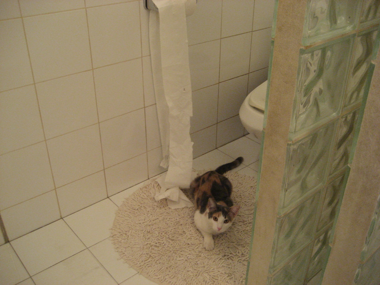 爱游戏在线-梦回荣耀，当罗马军团横扫郁金香，穆勒如何上演全程高能输出