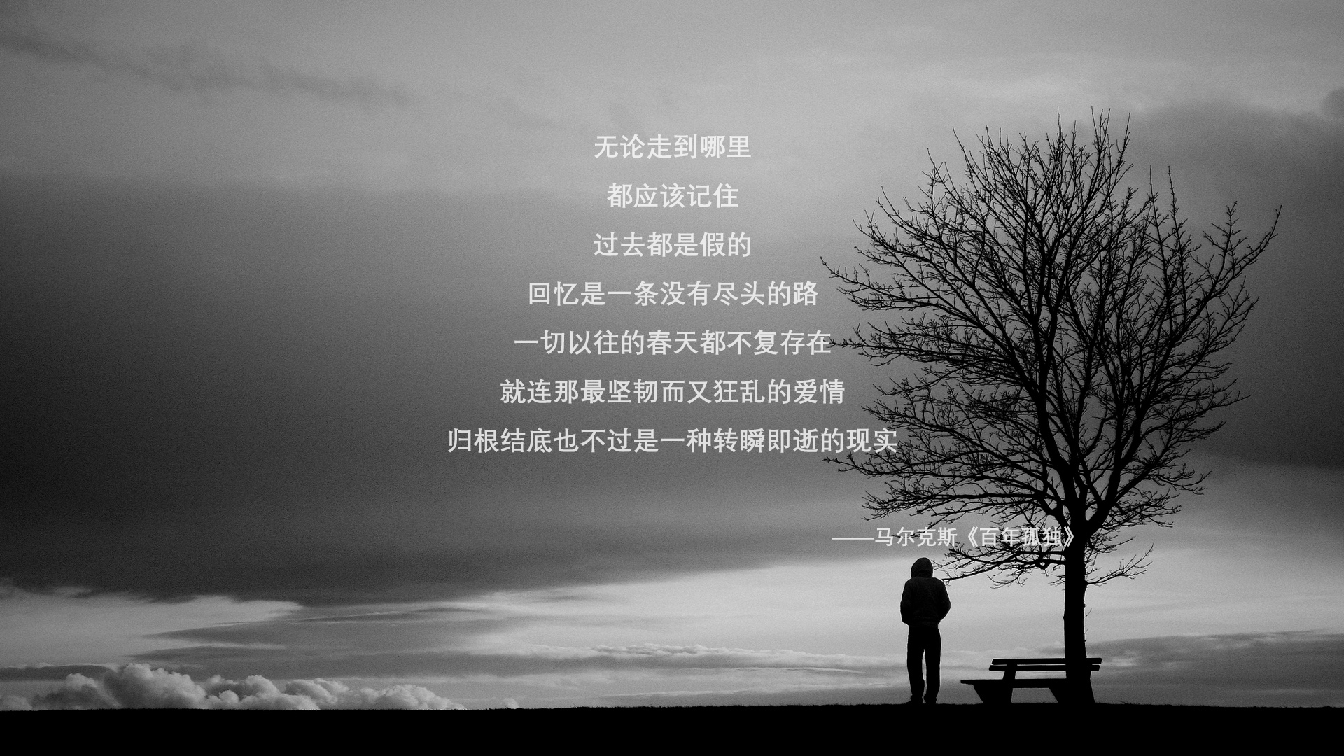 虚拟绿茵场，当莱比锡红牛穿越美加墨世界杯