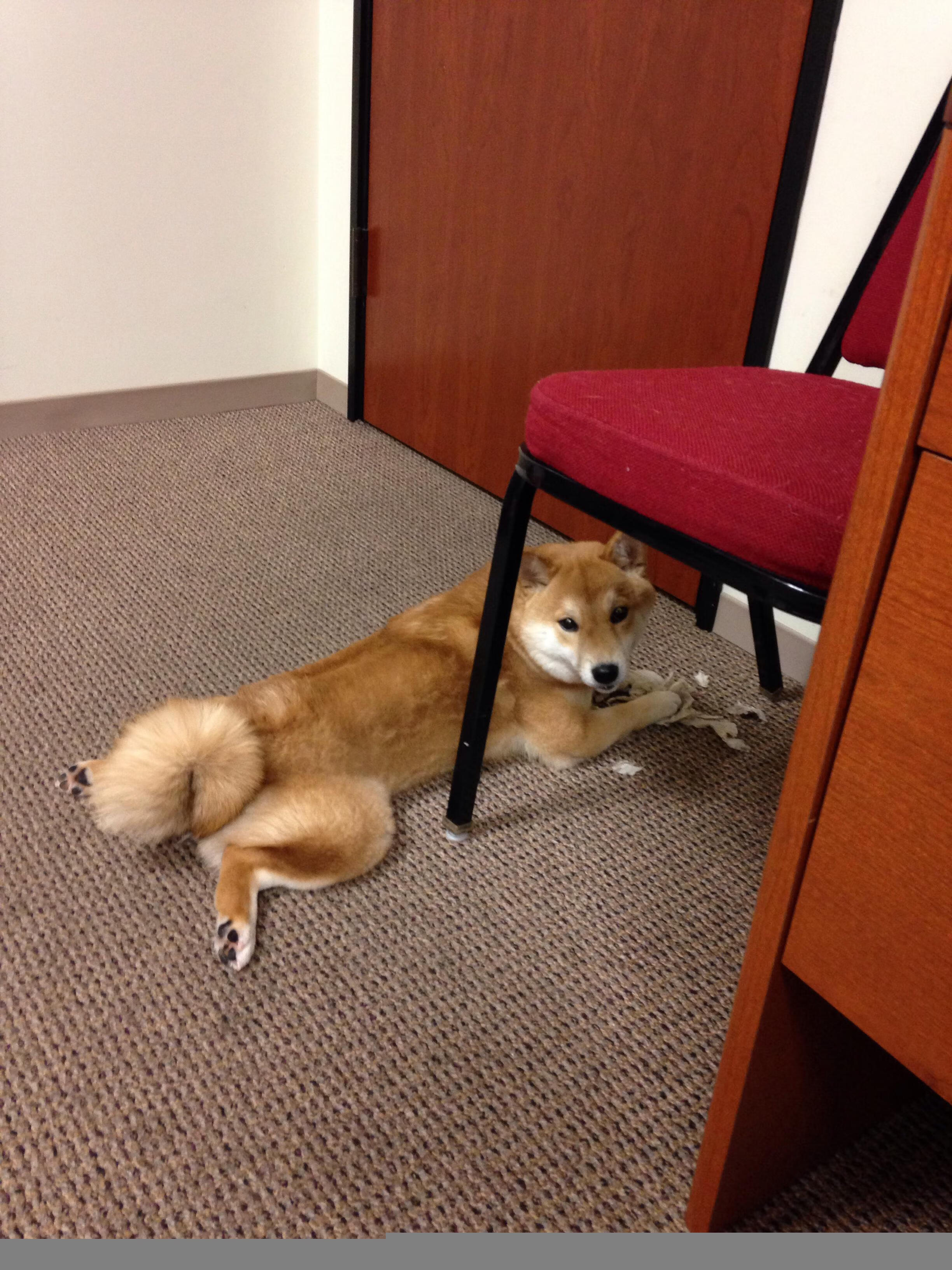 足球世界的双重奏，芬兰正面击溃摩洛哥，福登欧冠半决赛接管比赛