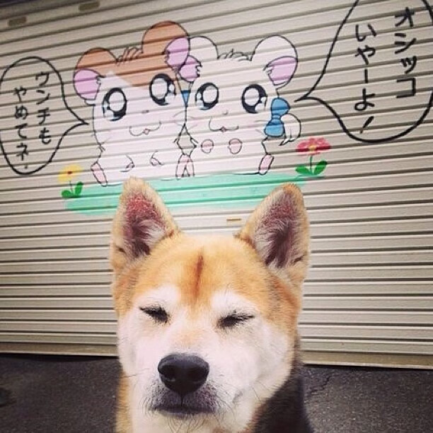 绝对统治！文班亚马只手导演逆转戏码，凯尔特人双子星失色