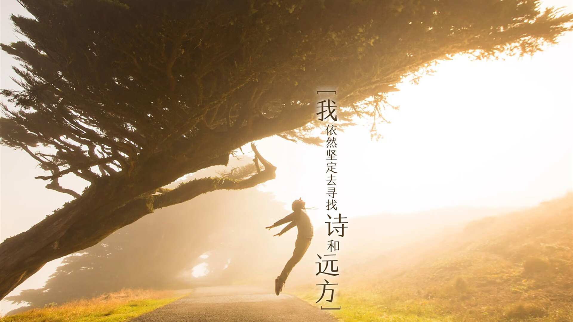 爱游戏入口-北欧铁血与南美利刃，当瑞典体系遇上阿圭罗的致命一击