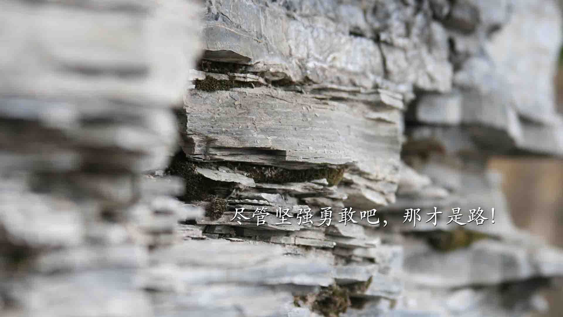 独步天下，世界杯头名之争焦点战，巴西碾压瑞士，B费主导比赛，状态火热书写唯一传奇