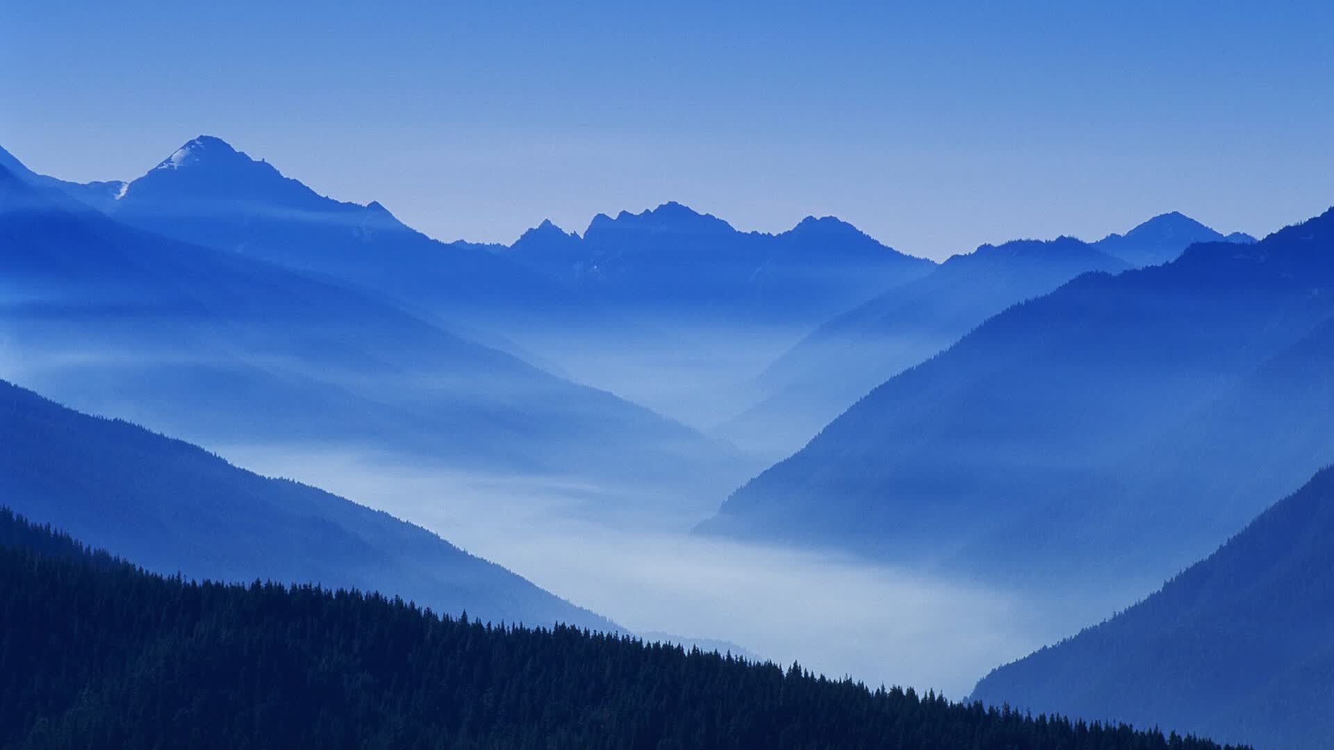 血洗之夜,2026世界杯E组强强对话,葡萄牙横扫加纳,贝林厄姆化身孤胆英雄,替补奇兵一剑封喉